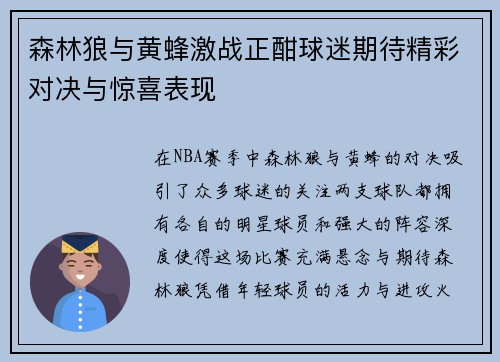 森林狼与黄蜂激战正酣球迷期待精彩对决与惊喜表现