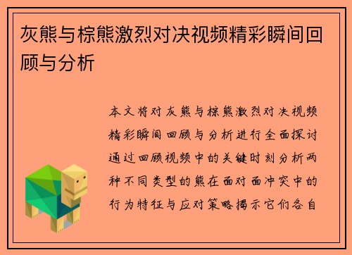 灰熊与棕熊激烈对决视频精彩瞬间回顾与分析